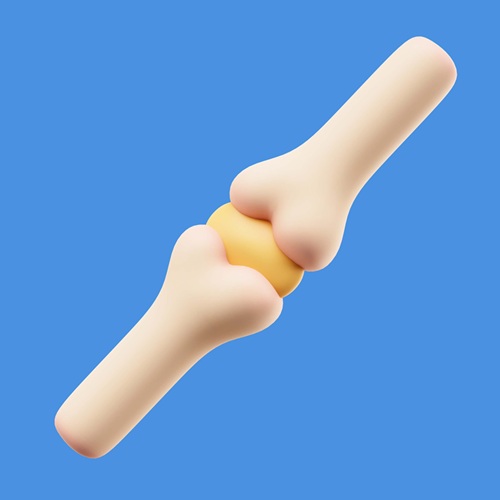 Radius and Ulna